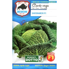 BISON SEMI DI CAVOLO VERZA SAVONARCH IBRIDO F1 BISON SEMI DI CAVOLO VERZA SAVONARCH IBRIDO F1