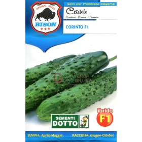 BISON CET SEMINȚERIOCORINTULUI HIBRID F1 BISON CET SEMINȚERIOCORINTULUI HIBRID F1