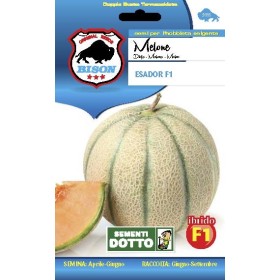 BISON SEMI DI MELONE ESADOR IBRIDO F1 BISON SEMI DI MELONE ESADOR IBRIDO F1