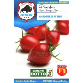 BISON SEMINȚE DE TOMATE GARDENHIBRID BERRY F1 BISON SEMINȚE DE TOMATE GARDENHIBRID BERRY F1