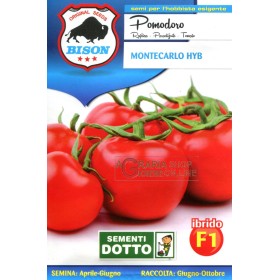 BISON MONTECARLO HYBRID F1 SEMINȚE DE TOMATE BISON MONTECARLO HYBRID F1 SEMINȚE DE TOMATE
