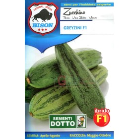 BISON SEMI DI ZUCCHINO GREYZINI IBRIDO F1 BISON SEMI DI ZUCCHINO GREYZINI IBRIDO F1