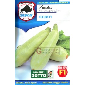 BISON SEMI DI ZUCCHINO KOLIBRI IBRIDO F1 BISON SEMI DI ZUCCHINO KOLIBRI IBRIDO F1