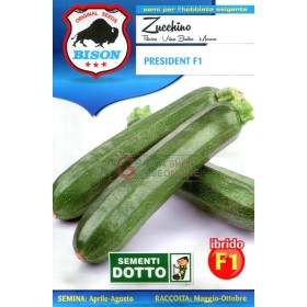 BISON SEMINȚE DE DOVLECEI PREȘEDINTE HIBRID F1 BISON SEMINȚE DE DOVLECEI PREȘEDINTE HIBRID F1