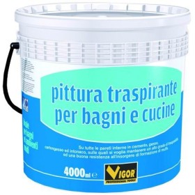 VIGOR PICTURA MURARA TRANSPARENTA PENTRU INTERIOR BAGNI SI