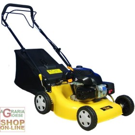 VIGOR LASAEBENZINĂ RBA V-3746 OHV HP AUTOPROPULSAT. 4,5 VIGOR LASAEBENZINĂ RBA V-3746 OHV HP AUTOPROPULSAT. 4,5