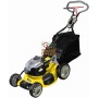 VIGOR-ERGO RASAERBA A SCOPPIO WR-67550 OHV BRIGGS STRATTON CC.