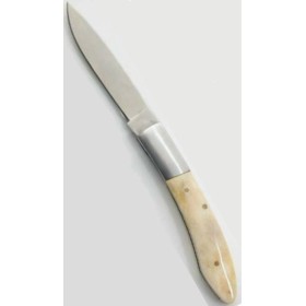 VIRGINIA AMERICA CM. 6 MANICO ÎN OS 8031 VI