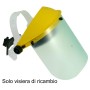 VISIERA TRASPARENTE CM 20X30