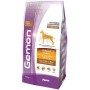 GEMON MANGIME PER CANI MAXI ADULT CON POLLO E RISO KG. 15