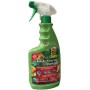 COMPO INSECTICID AXIENDO PRONTO UTILIZAȚI SPRAY PE BAZĂ DE ML