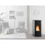 STUFA PELLET KW.20,3 RAFFAELLA IDRO ARGENTO