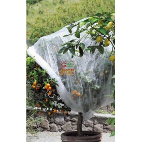 TELO ANTIGELO TESSUTO NON TESSUTO TUBOLARE MT. 1,50 X 6 STOCKER TELO ANTIGELO TESSUTO NON TESSUTO TUBOLARE MT. 1,50 X 6 STOCKER