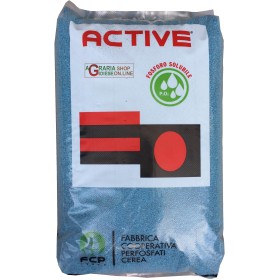 CONCIME ORGANO MINERALE ACTIVE LAND 30 NPK 10.6.15 CON MICRO KG. 25 CONCIME ORGANO MINERALE ACTIVE LAND 30 NPK 10.6.15 CON MICRO