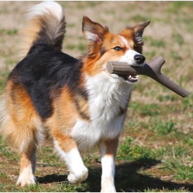 BAMA TUTTO MIO GIOCATTOLO PER CANI DI MEDIA E GRANDE TAGLIA BAMA TUTTO MIO GIOCATTOLO PER CANI DI MEDIA E GRANDE TAGLIA