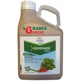 BAYERADSENINĂ ȘI FUNGICID ASO PE BAZĂ DE Bacillus subtilis LT. 5 BAYERADSENINĂ ȘI FUNGICID ASO PE BAZĂ DE Bacillus subtilis LT. 5