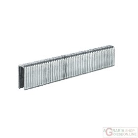 Capse Einhell 3000 5x13 mm pentru DTA 25/2