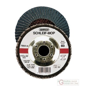 Disc abraziv Einhell 115 GR 80 Disc abraziv Einhell 115 GR 80