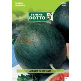 SEMINTE DE PEPENE VERDE ZAHAR BABY SEMINTE DE PEPENE VERDE ZAHAR BABY