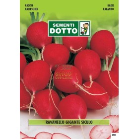 SEMI DI RAVANELLO GIAGANTE SICULO SEMI DI RAVANELLO GIAGANTE SICULO