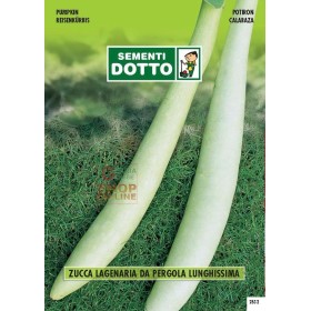 SEMINTE DE DOVLEAC LAGFOARTE LUNG PERGOLA ENARIA SEMINTE DE DOVLEAC LAGFOARTE LUNG PERGOLA ENARIA