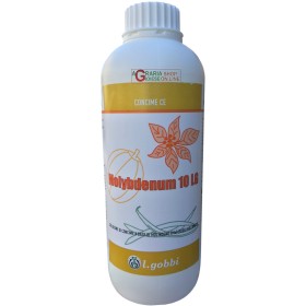 GOBBI CONCIME MOLYBDENUM 10 LG CONSENTITO IN AGRICOLTRURA BIOLOGICA A BASE DI MOLIBDENO KG. 6 GOBBI CONCIME MOLYBDENUM 10 LG CONSENTITO IN AGRICOLTRURA