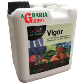 AGROPADANA VIGOR CONCIME ORGANO MINERALE NP 4,4.8 CON ZINCO KG. 5 AGROPADANA VIGOR CONCIME ORGANO MINERALE NP 4,4.8 CON ZINCO KG.