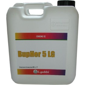 GOBBI BUPHER 5 LG CUCIMSI ACIDIFIER PENTRU SOLUTII DE PESTICIDE KG. 6 GOBBI BUPHER 5 LG CUCIMSI ACIDIFIER PENTRU SOLUTII DE PESTICIDE