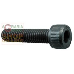 VITE A BRUGOLA 8.8 TC ESAGONO INCASSATO MM. 4X 30 VITE A BRUGOLA 8.8 TC ESAGONO INCASSATO MM. 4X 30