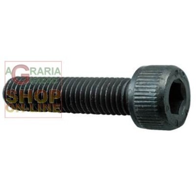 VITE A BRUGOLA 8.8 TC ESAGONO INCASSATO MM. 4X 30