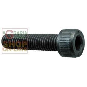 VITE A BRUGOLA 8.8 TC ESAGONO INCASSATO MM. 5X 25 VITE A BRUGOLA 8.8 TC ESAGONO INCASSATO MM. 5X 25