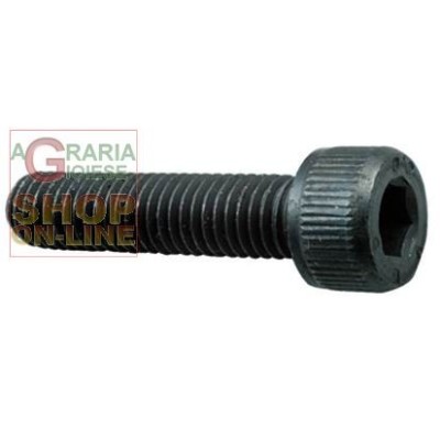 VITE A BRUGOLA 8.8 TC ESAGONO INCASSATO MM. 5X 35