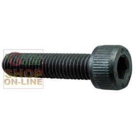VITE A BRUGOLA 8.8 TC ESAGONO INCASSATO MM. 5X 40 VITE A BRUGOLA 8.8 TC ESAGONO INCASSATO MM. 5X 40