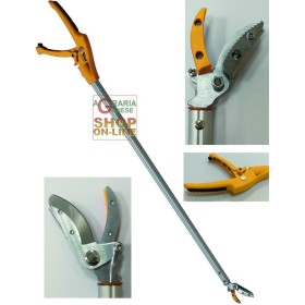 VIGOR COGLIASPARAGI CUAMA MANGAN STEEL MT. 1 VIGOR COGLIASPARAGI CUAMA MANGAN STEEL MT. 1