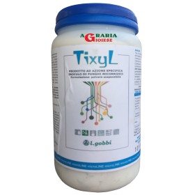 GOBBI TIXYL PRODOTTO AD AZIONE SPECIFICA INOCULO DI FUNGHI MICORRIZICI KG. 1 GOBBI TIXYL PRODOTTO AD AZIONE SPECIFICA INOCULO DI FUNGHI