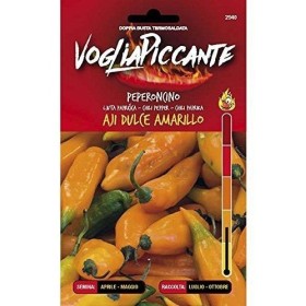 SEMINTE PICANTE DE ARDEI IUTE AJI DULCE AMARILLO SEMINTE PICANTE DE ARDEI IUTE AJI DULCE AMARILLO