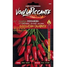 PICANT SEMINȚE PICANTE CHILI DEAVOLICCHIO CALABRESE PICANT SEMINȚE PICANTE CHILI DEAVOLICCHIO CALABRESE