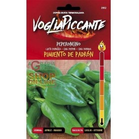 SEMINTE PICANTE DE ARDEI IUTE PIMIENTO DE PADRON SEMINTE PICANTE DE ARDEI IUTE PIMIENTO DE PADRON