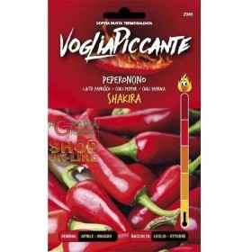POFTA PICANT SEMINȚE DE ARDEI IUTE SHAKIRA POFTA PICANT SEMINȚE DE ARDEI IUTE SHAKIRA
