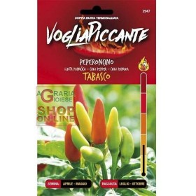 PICANT PUFFIN CHILI SEMINTE TABASCO PICANT PUFFIN CHILI SEMINTE TABASCO