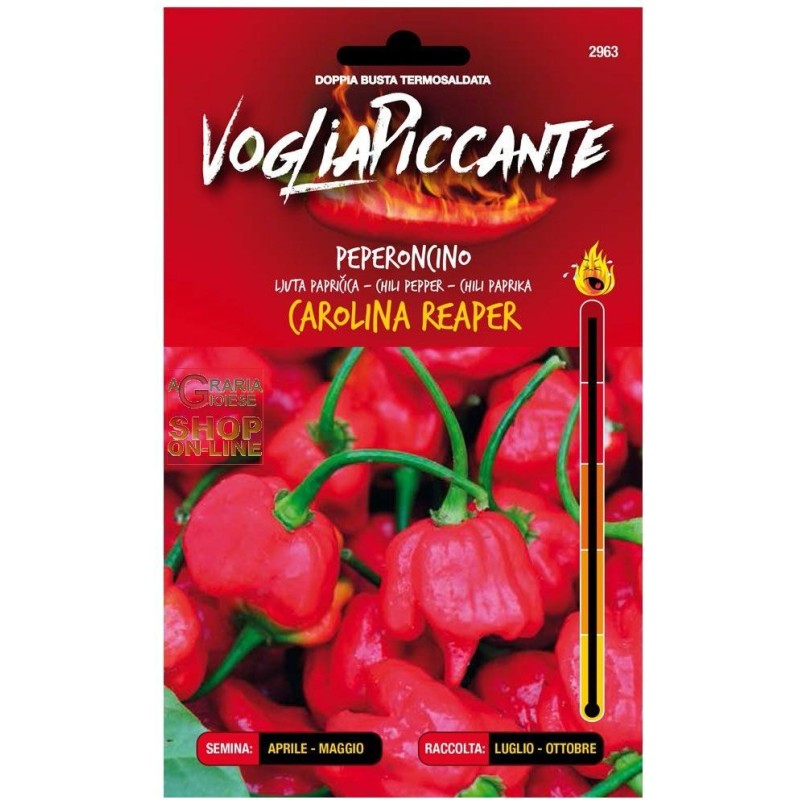 Olio piccante, ricette e consigli su come prepararlo in casa Olio piccante, ricette e consigli su come prepararlo in casa