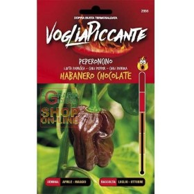 VREI SEMINȚE PICANTE DE ARDEI IUTE HABANERO CIOCOLATĂ VREI SEMINȚE PICANTE DE ARDEI IUTE HABANERO CIOCOLATĂ