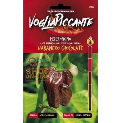 VOGLIA PICCANTE SEMI DI PEPERONCINO PICCANTE HABANERO CHOCOLATE