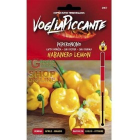 POFTA DE SEMINȚE PICANT ARDEI IUTE HABANERO LAMAIE POFTA DE SEMINȚE PICANT ARDEI IUTE HABANERO LAMAIE