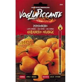 SEMINȚE PICANTE DE ARDEI IUTE HABANERO ORANGE SEMINȚE PICANTE DE ARDEI IUTE HABANERO ORANGE
