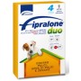 FIPRALONE DUO SPOT ON GATTO ANTIPARASSITARIO PER CANI PICCOLI