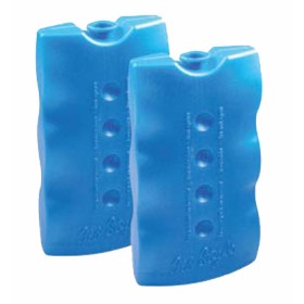 PLACI DE GEL DE GHEATA SINTETICA DIN GR.400 BUCATI 2 PLACI DE GEL DE GHEATA SINTETICA DIN GR.400 BUCATI 2