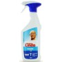 MASTRO LINDO DETERGENTE BAGNO SPRAY 500 ML.