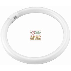 BLINKY NEON CIRCOLARE T9 BIANCA 32W-2100LM BLINKY NEON CIRCOLARE T9 BIANCA 32W-2100LM