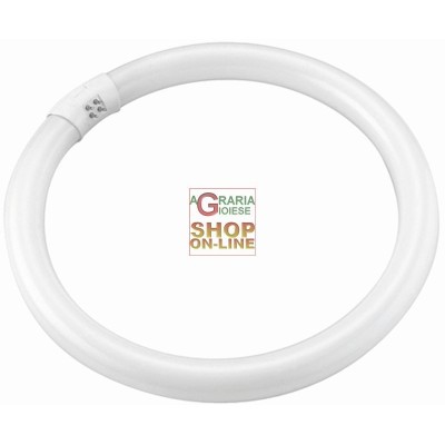 NEON CIRCULAR BLINKY T9 ALB 32W-2100LM